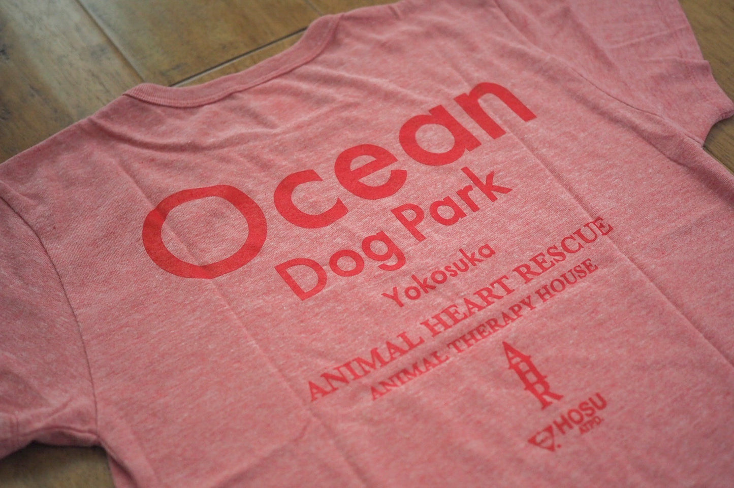 ODP半袖Tシャツ