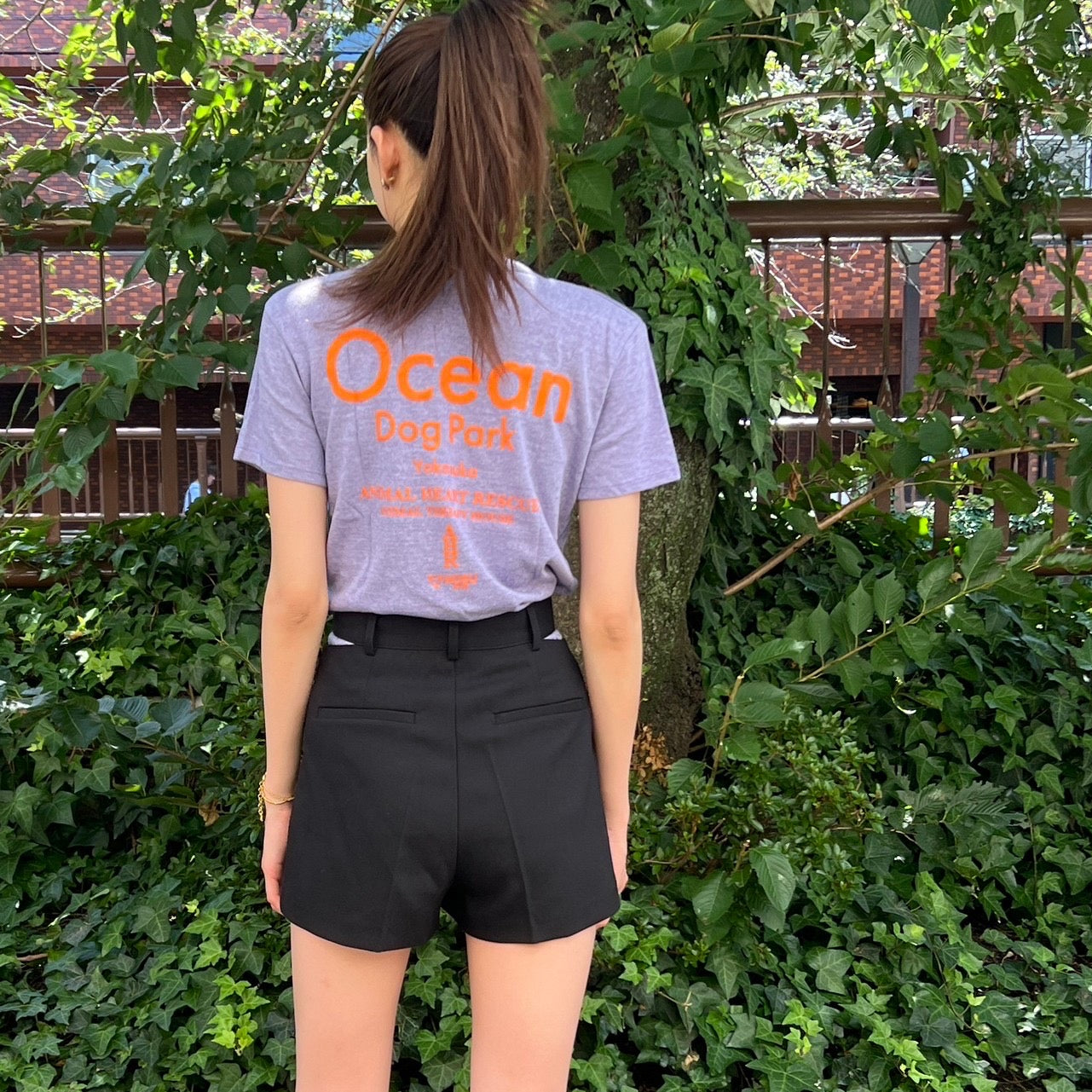 ODP半袖Tシャツ