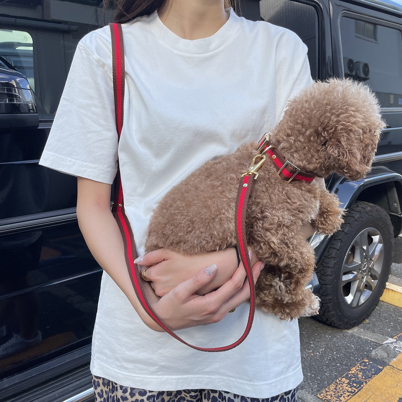 【小型~中型犬用20mm】HOSU ストライプドッグカラー/レッド×ブラウン