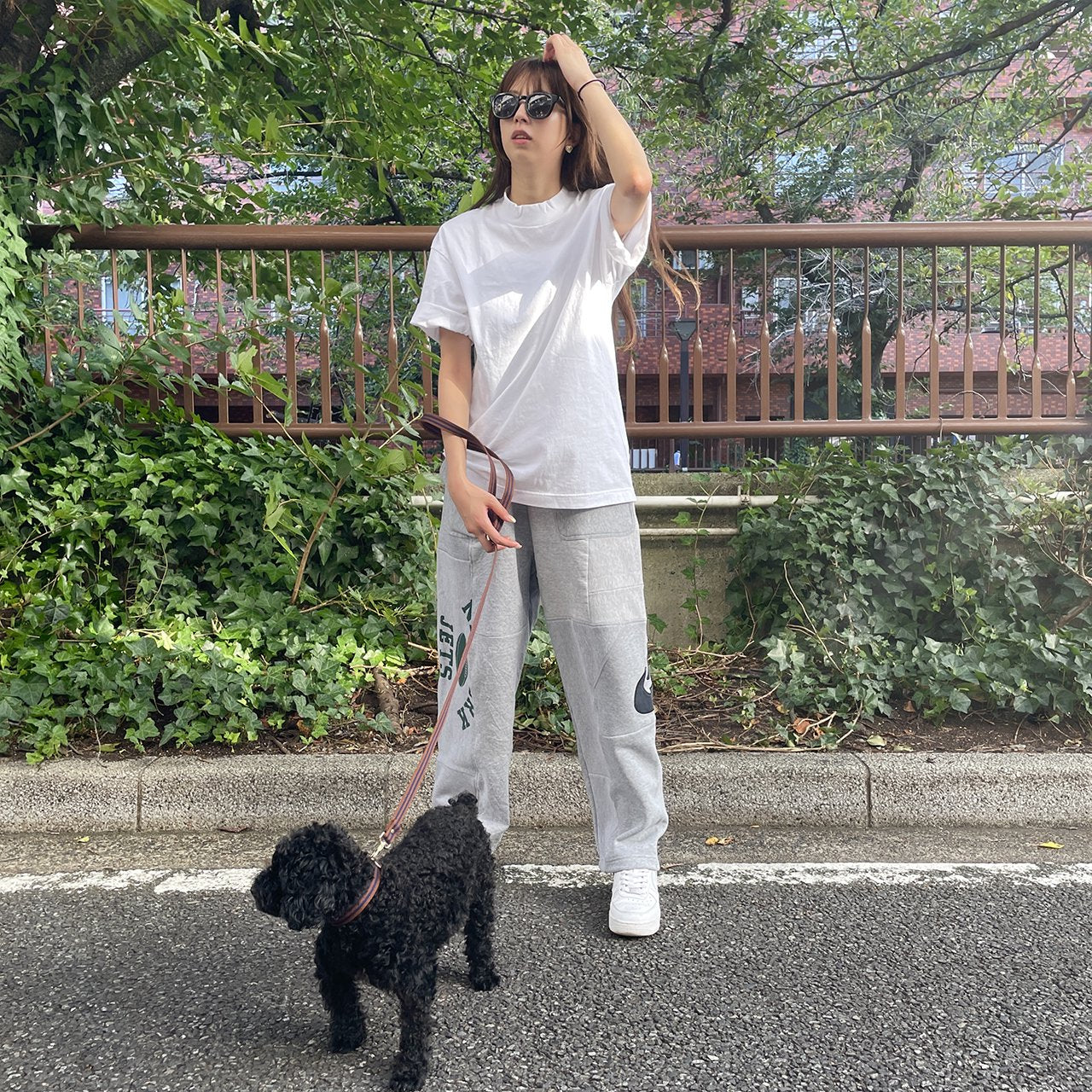 【小型~中型犬用20mm】HOSU ストライプドッグカラー/ブラウン×ネイビー