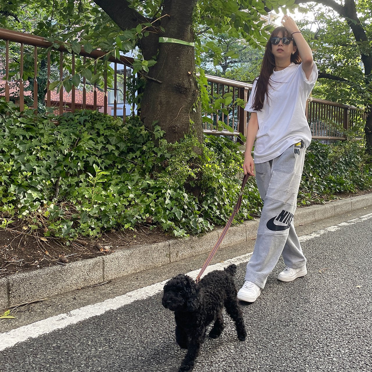 【小型~中型犬用20mm】HOSU ストライプドッグカラー/ブラウン×ネイビー