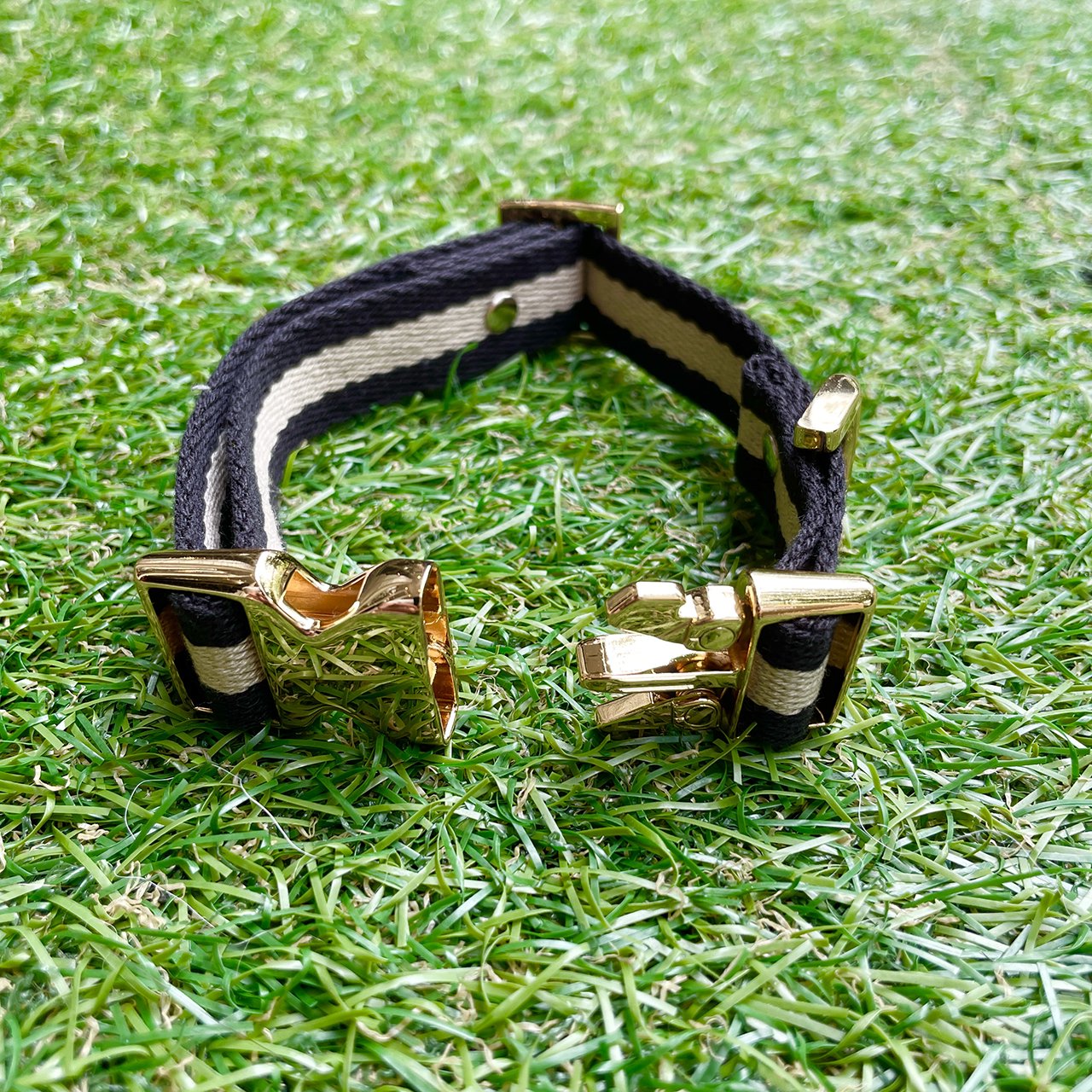 【小型~中型犬用20mm】HOSU ストライプドッグカラー/ブラック×アイボリー