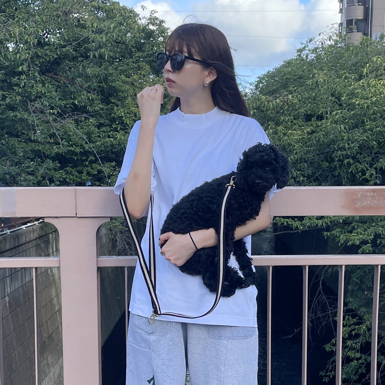 【小型~中型犬用20mm】HOSU ストライプドッグカラー/ブラック×アイボリー