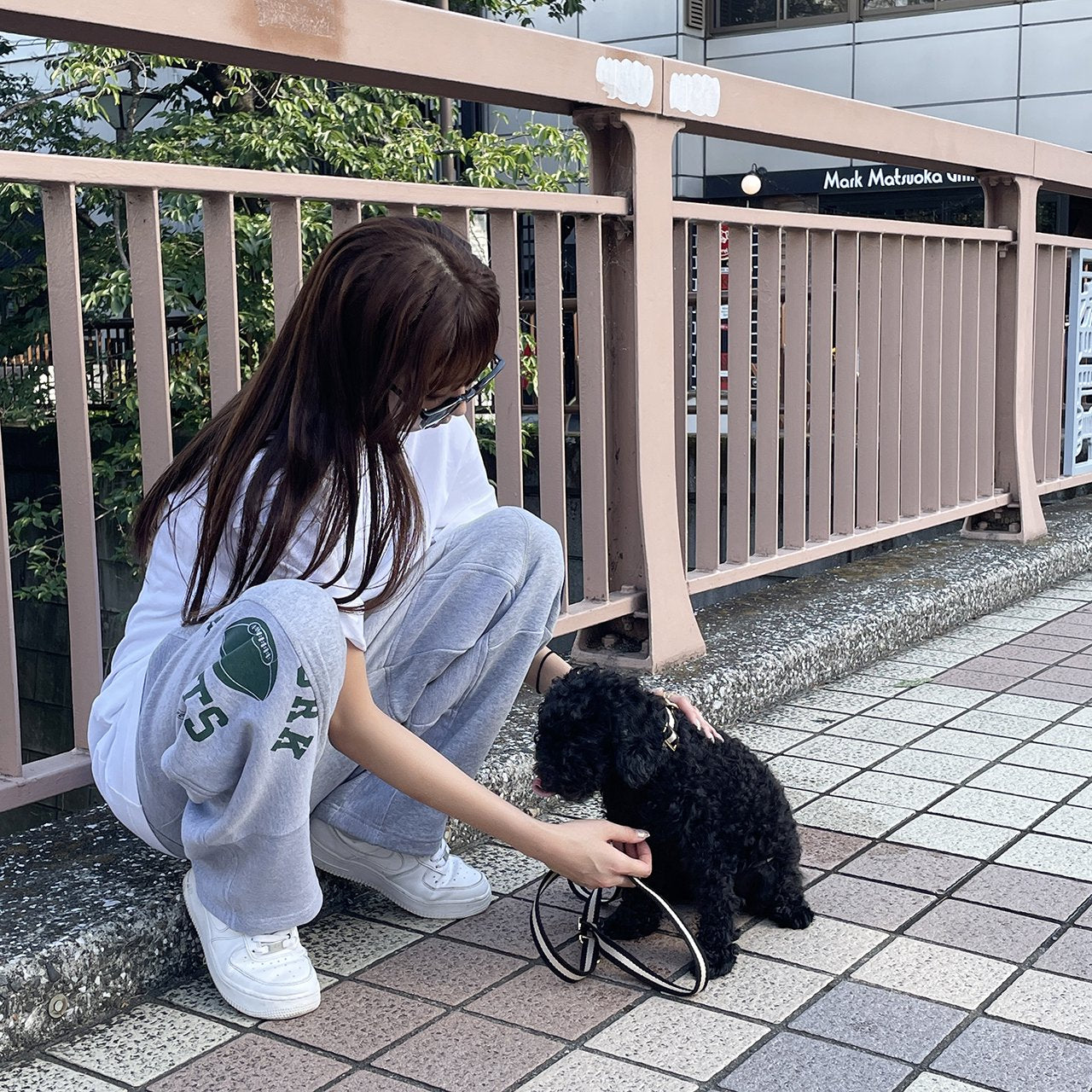 【小型~中型犬用20mm】HOSU ストライプドッグカラー/ブラック×アイボリー