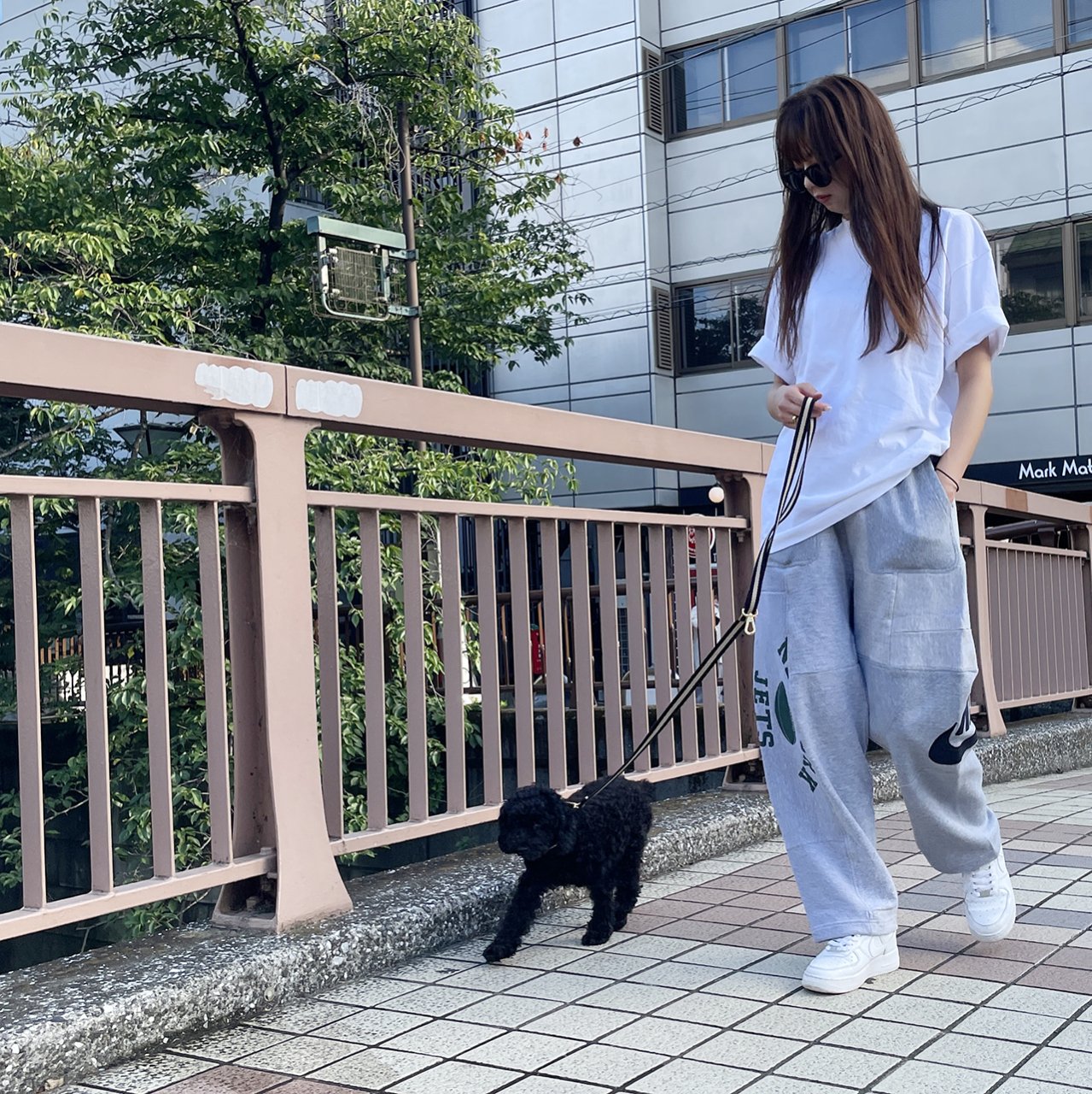 【小型~中型犬用20mm】HOSU ストライプドッグカラー/ブラック×アイボリー