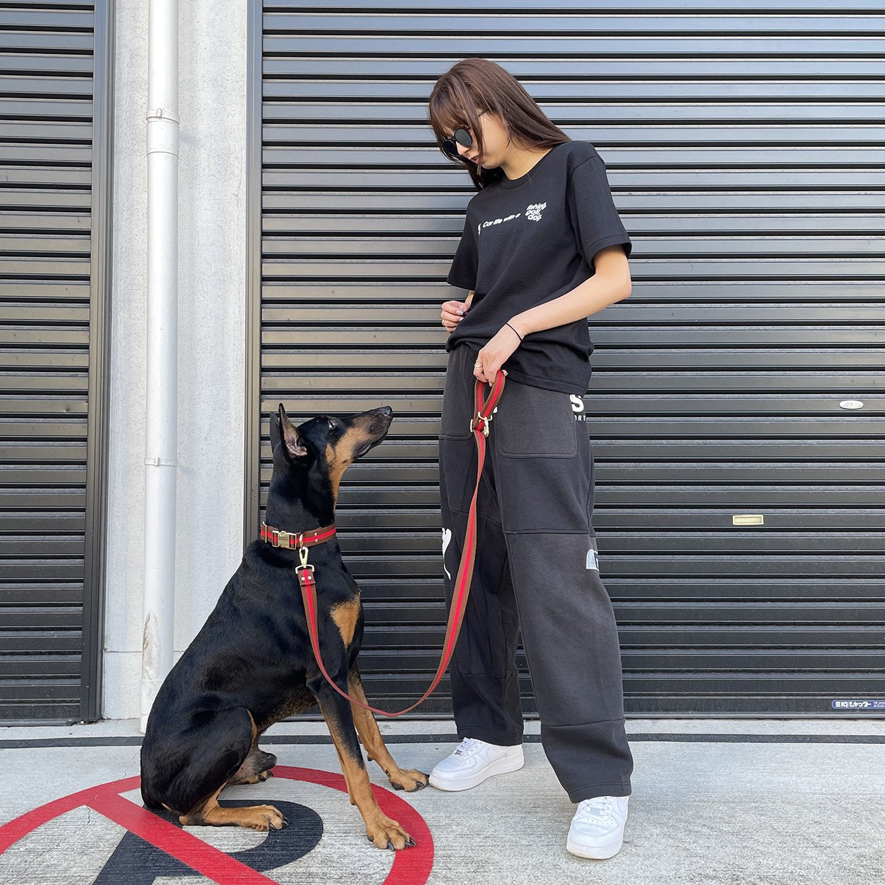 【中型~大型犬用30mm】HOSU ストライプドッグカラー/レッド×ブラウン