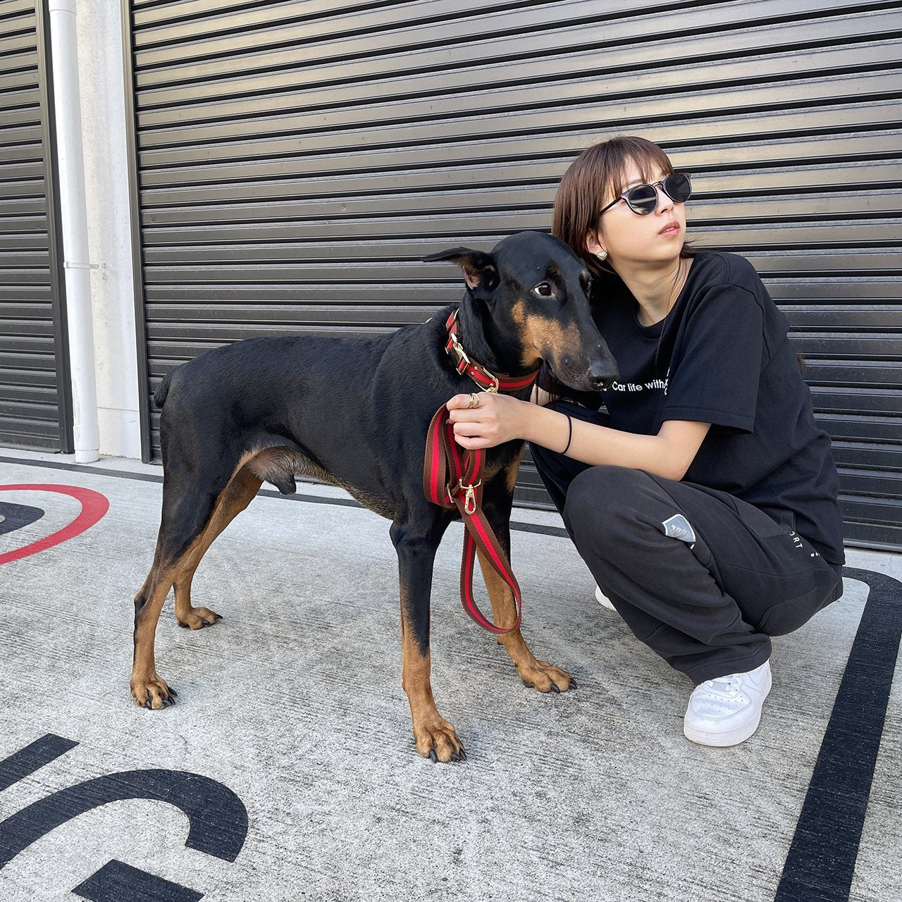 【中型~大型犬用30mm】HOSU ストライプドッグカラー/レッド×ブラウン