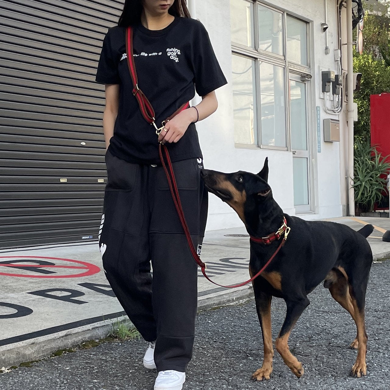 【中型~大型犬用30mm】HOSU ストライプドッグカラー/レッド×ブラウン