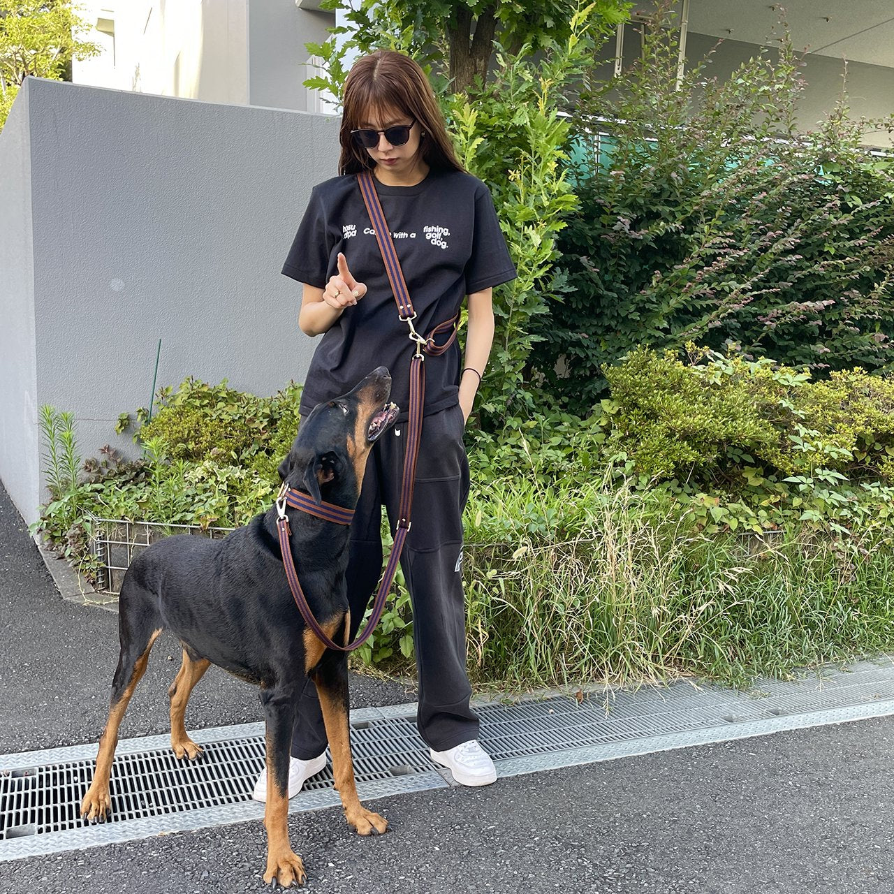 【中型~大型犬用30mm】HOSU ストライプドッグカラー/ブラウン×ネイビー