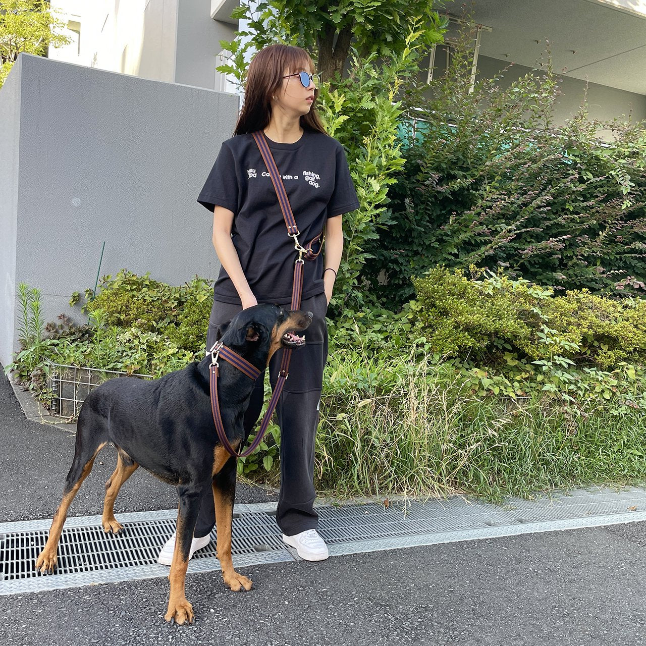 【中型~大型犬用30mm】HOSU ストライプドッグカラー/ブラウン×ネイビー