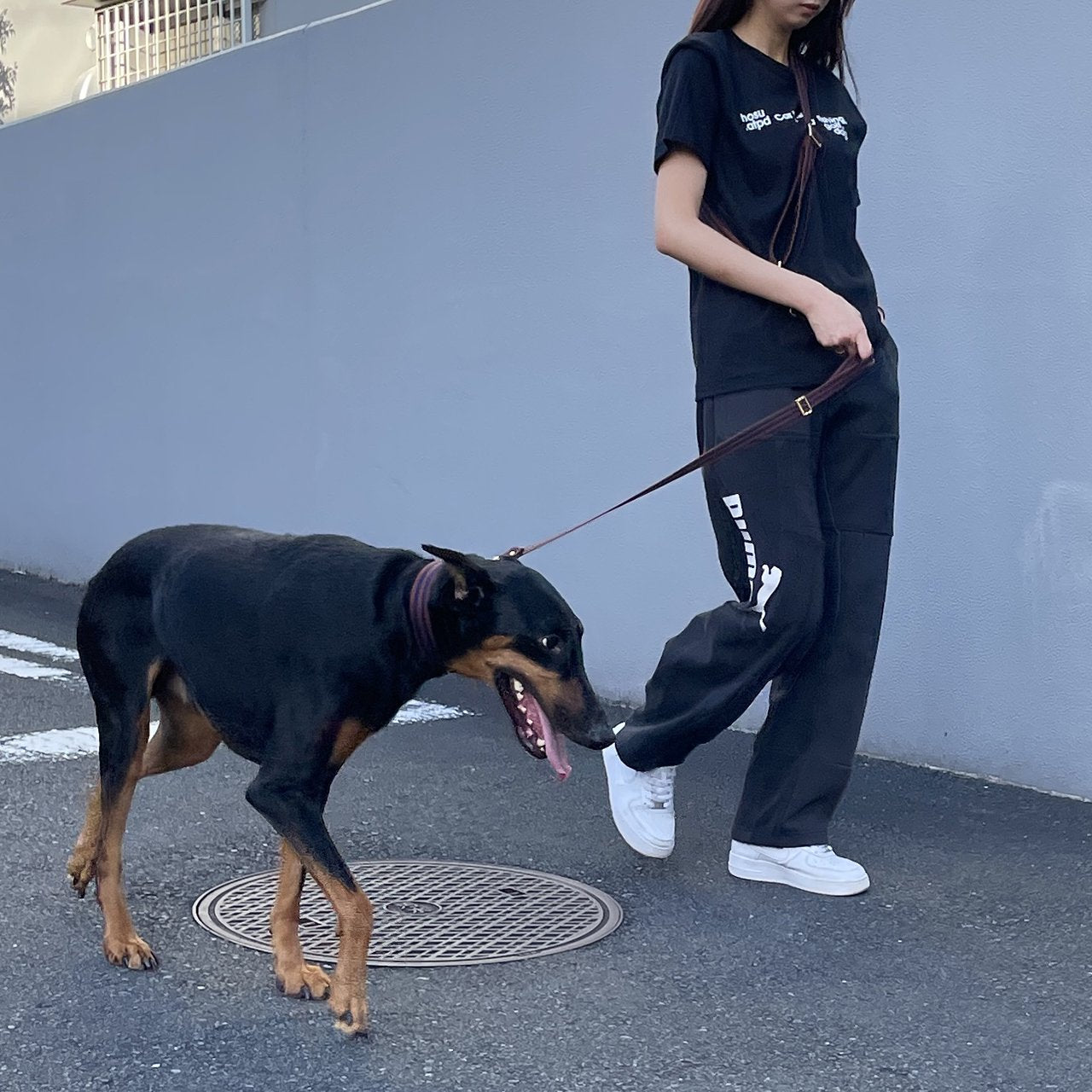 【中型~大型犬用30mm】HOSU ストライプドッグカラー/ブラウン×ネイビー