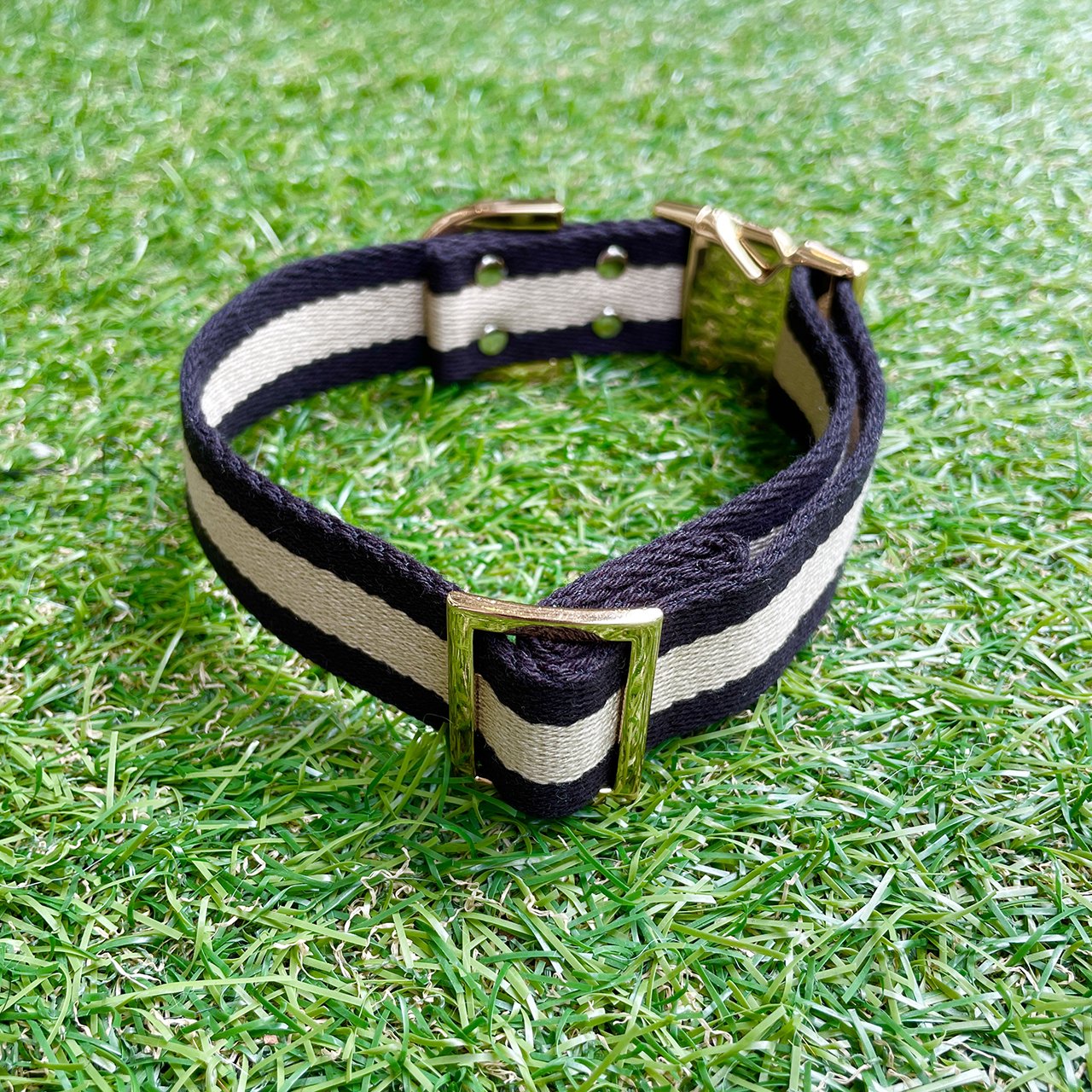 【中型~大型犬用30mm】HOSU ストライプドッグカラー/ブラック×アイボリー