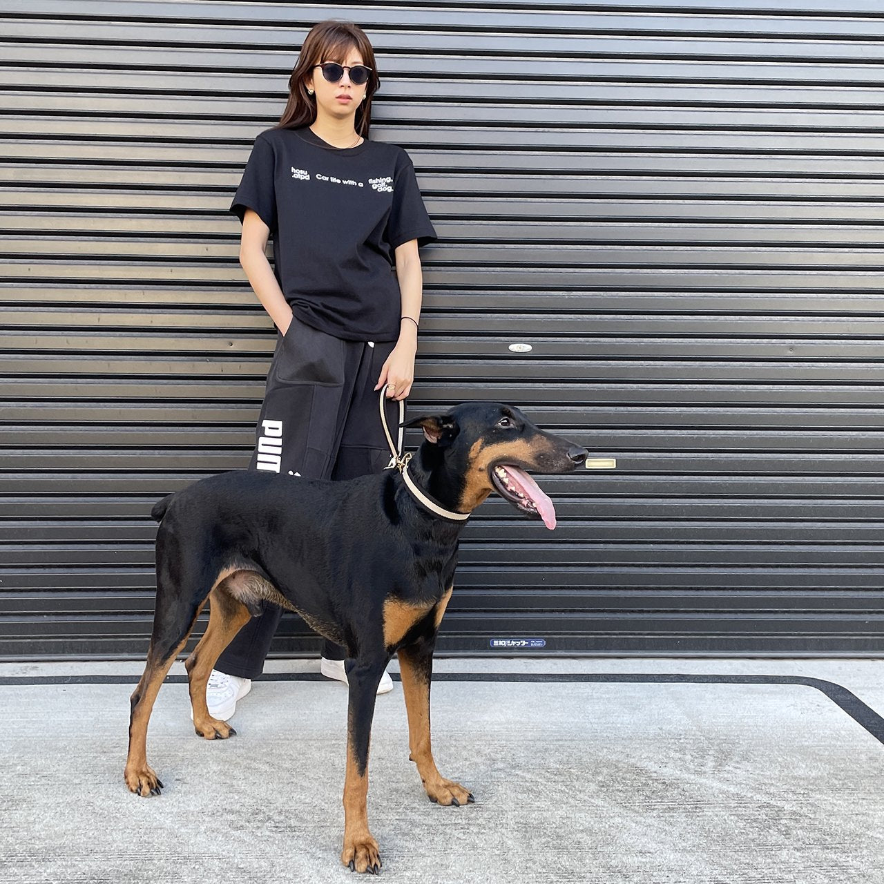 【中型~大型犬用30mm】HOSU ストライプドッグカラー/ブラック×アイボリー