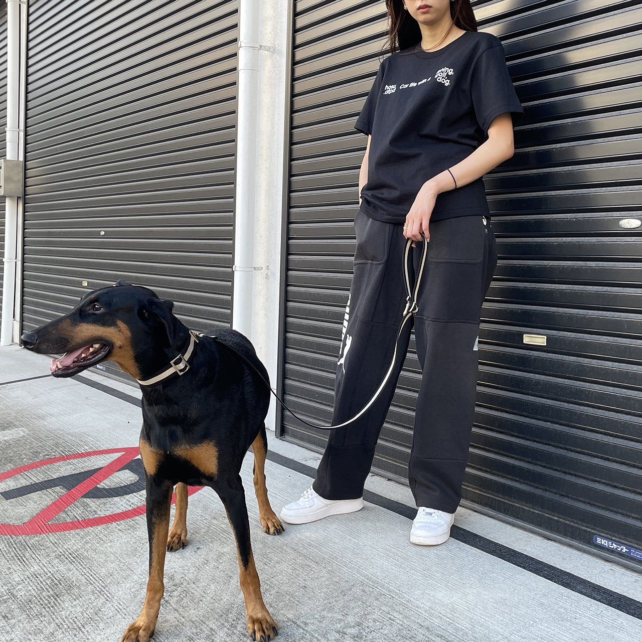 【中型~大型犬用30mm】HOSU ストライプドッグカラー/ブラック×アイボリー