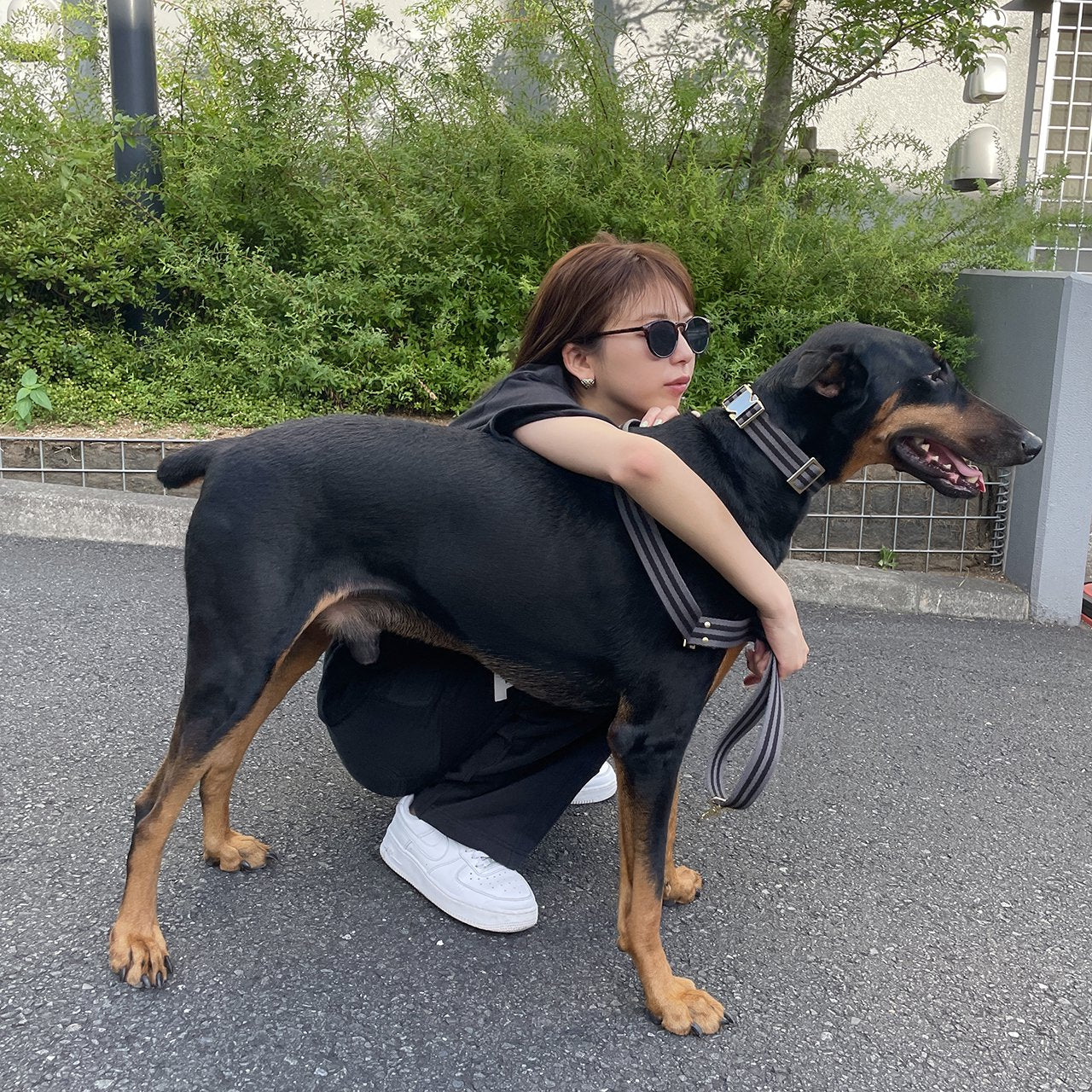 【中型~大型犬用30mm】HOSU ストライプドッグカラー/グレー×ブラック