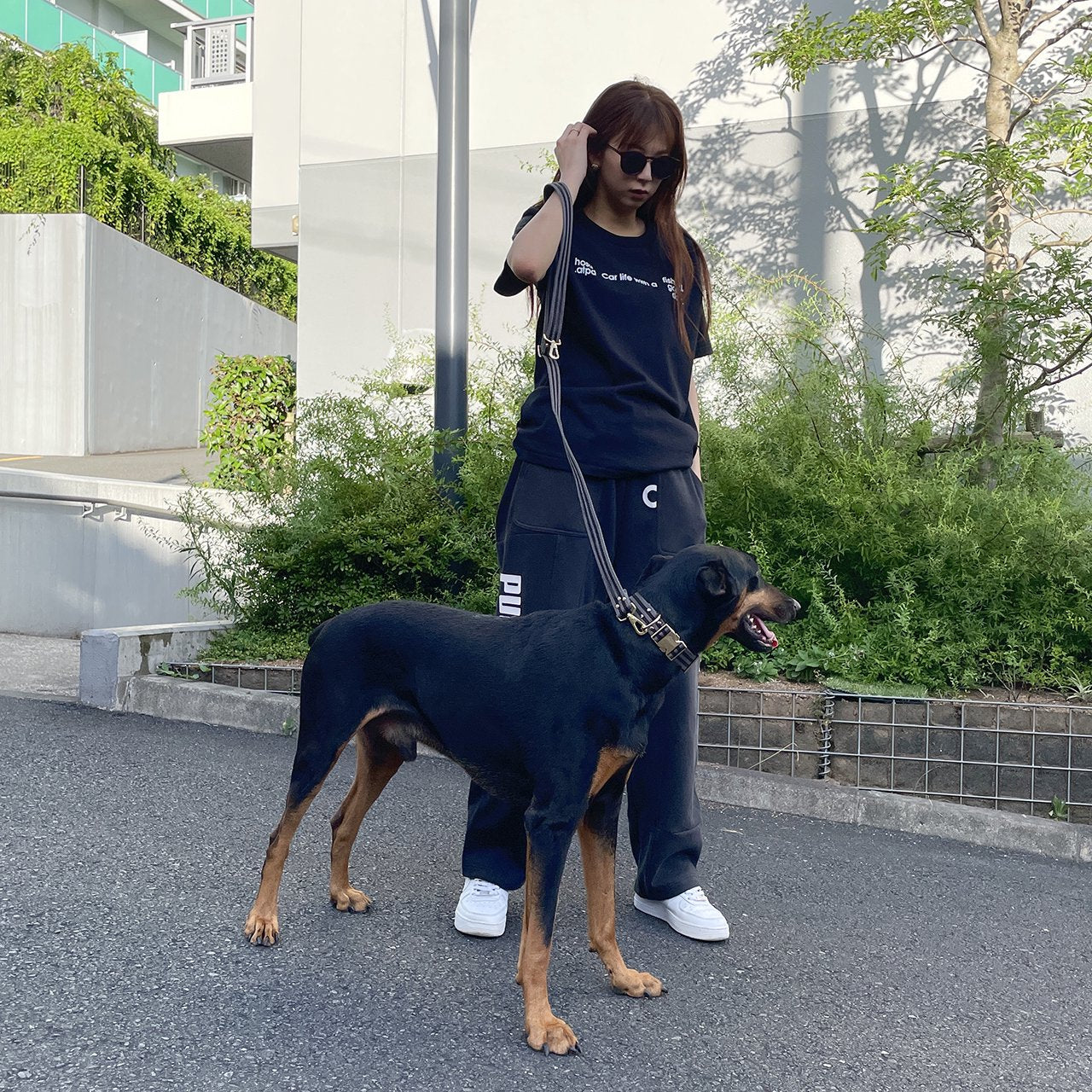 【中型~大型犬用30mm】HOSU ストライプドッグカラー/グレー×ブラック